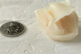 一瓶330ml可乐竟相当于这么多脂肪图片
