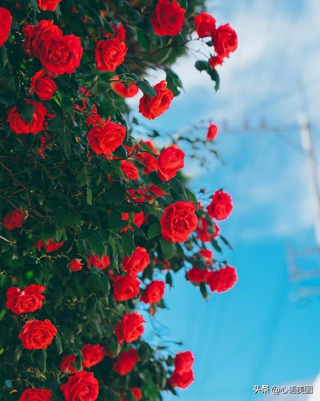Ȧİӣĺݣڸգ˵