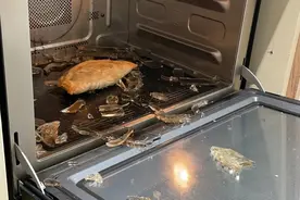 风靡一时的微波炉为何“跌下神坛”？这5点不解决，终究会被淘汰图片