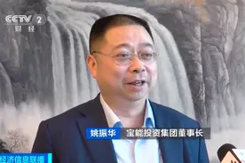 欠2000亿的姚振华红光满面上了央视，许老板还约了酒局图片