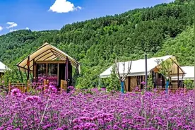 百亩花海+高空滑索+林岩飞瀑+账房酒店……合水花溪谷邀你来打卡！图片