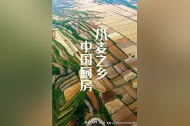 白象火了，它的老家河南究竟还有多少“国货之光”？图片