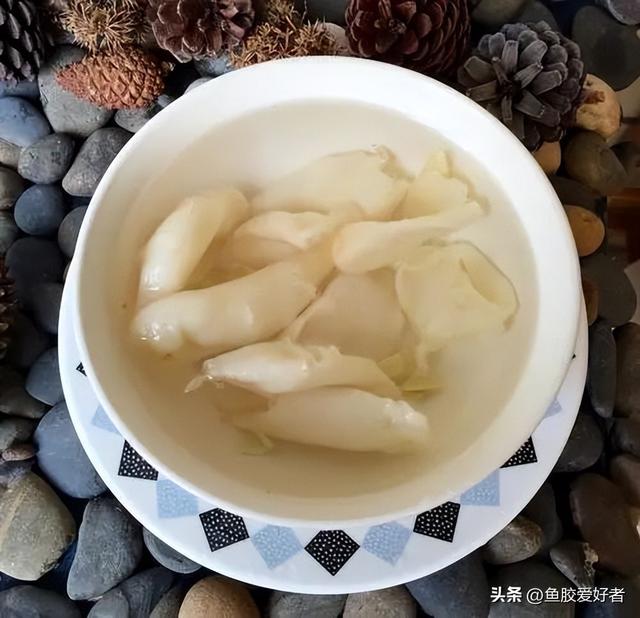 花胶用什么水泡 2025年花胶用什么水泡发