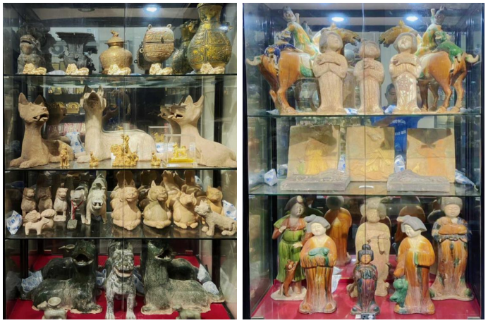 期待揭晓！国际潮宠展联合宠知源独家展示宠物犬起源的宝藏资料！