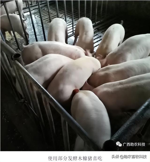 研究表明米糠的营养价值高富含优质蛋白质和膳食纤维，发酵后更好