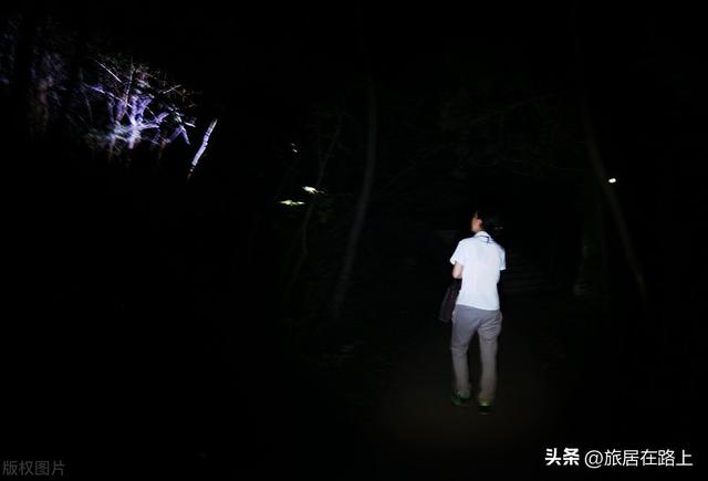 知了在声声叫着夏天，我们来蝉中说蝉，聊聊关于蝉的冷知识