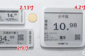 大泡泡的DIY：咸鱼廉价电子价签拆解，DIY 墨水屏 8266 显示驱动图片