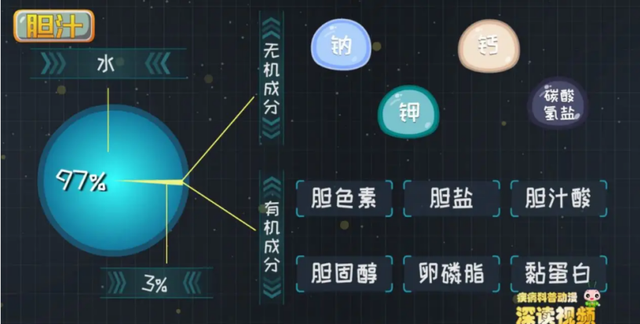 不想长胆结石，切记这6类食物要少吃！胆结石患者尤其需要注意