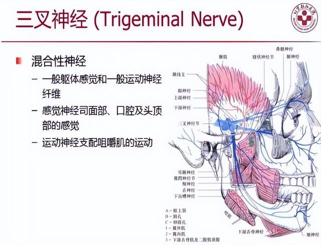 鐢查挻鑳虹敤鑽?澶х蹇岃娉ㄦ剰锛佺鐢ㄤ汉缇ゅ凡鍏紑鐖嗘枡锛屾偍鏄惁鍦ㄥ叾涓紵