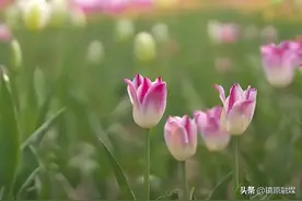深藏不露的人，往往都是人生赢家图片