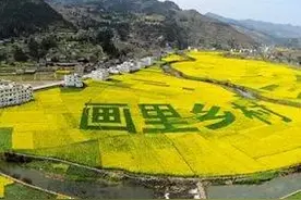 【四川 泸州市古蔺县（16——4）（54天）】图片