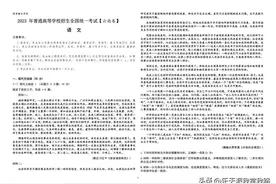 2023年新高考II卷：语文真题和答案以及详细解析（核查无忧）图片