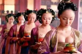 二十六史精选故事717、历史上唯一的宫女暴动图片