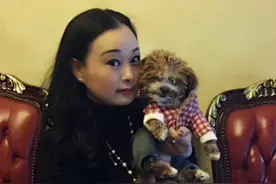 痛心！网红“金凤凰”离世，因高速劫车救下600只流浪狗，惹争议图片