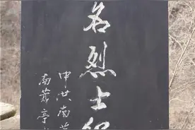 七律 清明敬仰烈士墓（平水韵）图片