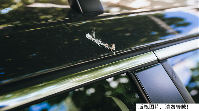 为什么鸟喜欢在白车上拉黑屎，黑车上拉白屎？这到底是什么原因