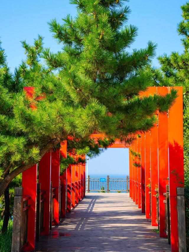 免费！烟台通往大海的小路，美爆爆爆了！