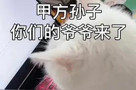 山寨品牌大盘点，甲方看了直摇头图片