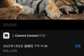 腾龙性价比高的中长焦图片