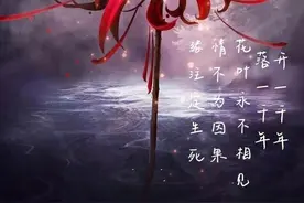 彼岸花花彼岸图片
