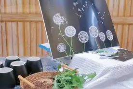 蒲公英能降血糖，还能抗癌？本文告诉你真相图片