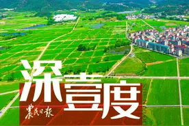 农业“标准地”改革看义乌如何“腾笼换鸟”？图片