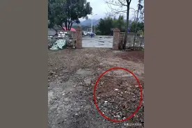 七旬老太与持铁锹冲进院子的六旬翁打架，自称被迫还击致他一旁妻子轻伤一级，系正当防卫还是故意伤害？图片