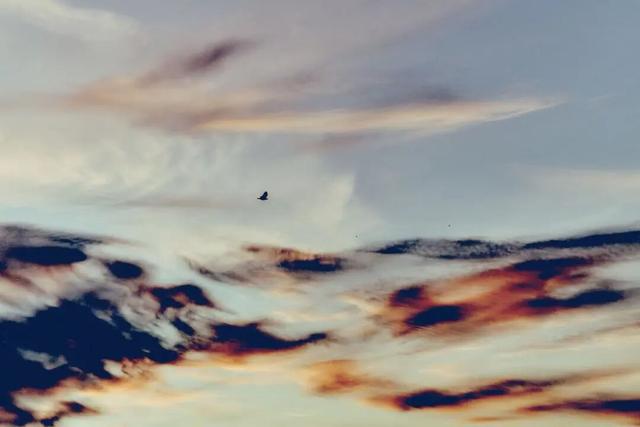 冬天跑步的年轻人，在城市冒险中重新定义自己