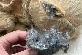 有钱没钱，家里这10件东西也赶快扔了吧，它们在偷偷伤害你身体图片