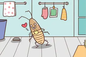 全篇高能！实测5种灭蟑产品，到底哪款安全又有效？图片