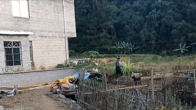 老一辈告诫：“土狗不能养十年，不然必成精”，究竟是为什么？
