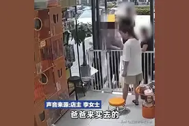 宁波夫妻昨天买猫今天摔死，明明是人和人的事，为什么要伤害它们图片
