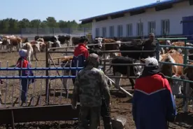 这个专业接地气儿，畜牧兽医专业学生开始实习实训了图片