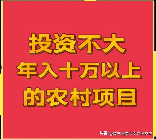 Ͷ�ʲ�������ʮ�����ϵ�ũ�崴ҵ��Ŀ����Щ��