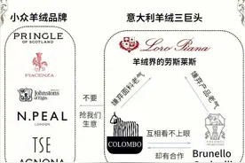 顶级羊绒品牌都有啥？别再只盯着Max Mara图片
