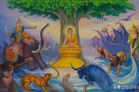 了解佛教发展历程，勿忘初心图片