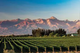 阿根廷曾很富裕，如今局面非常糟糕，造成这一切的原因是咎由自取图片