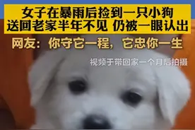捡到1只小狗送回老家，时隔半年后认出了女子：果然没白养你呀图片