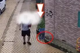 惠州一条大蛇躲在路边，突然窜出咬路人，为何蛇会主动攻击人类？图片