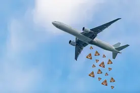 飞机上的屎都去哪儿了图片