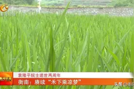 袁隆平院士逝世两周年 衡南：赓续“禾下乘凉梦”图片