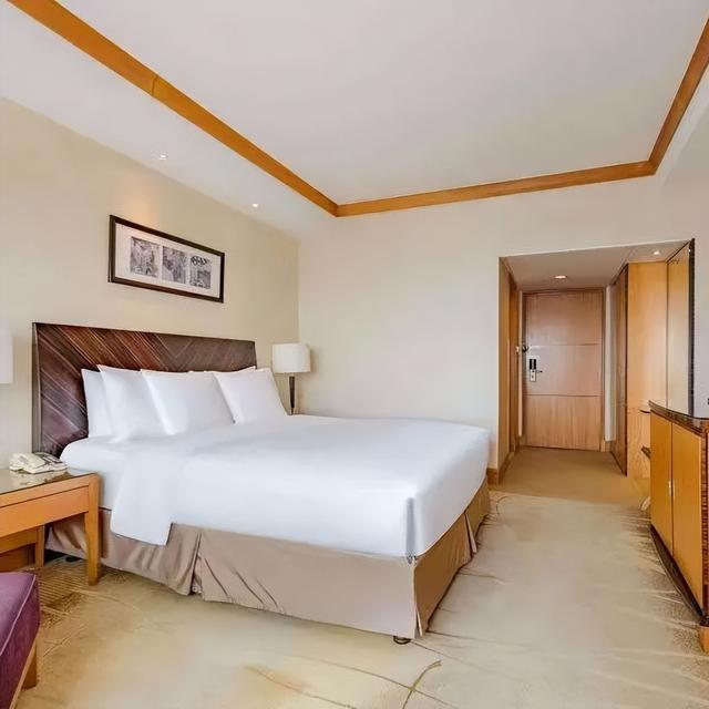 浓汤鸡丝花胶 2025年花胶鸡丝汤的做法大全