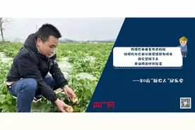 「行走赣鄱乡村」80后“新农人”“玩转”现代化农业图片