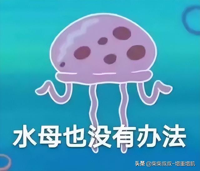 想变壮要吃补剂吗？什么是补剂？