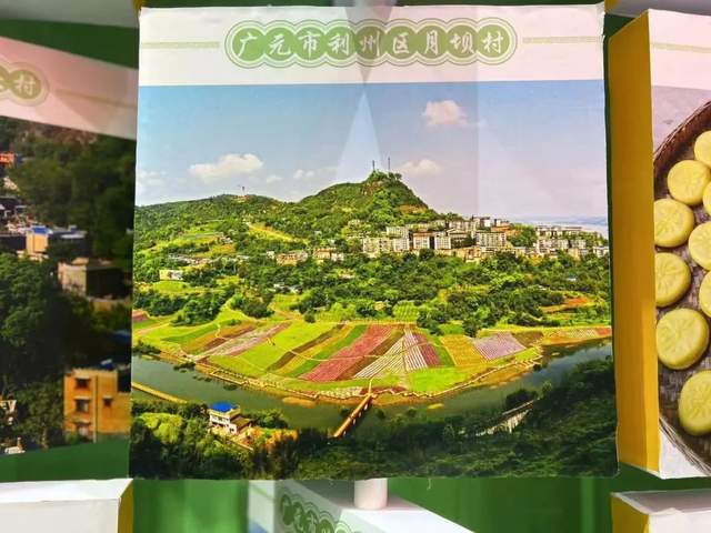 四川省民生研究会新媒体中心-官网