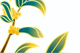 10000斤蘑菇！市委书记曾调研的通州“蘑菇王国”迎来蘑菇丰收上市图片