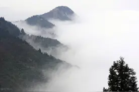 湖南省衡山南岳衡东各乡镇赶集的日子图片