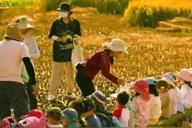 大理市幼儿园白名单公布！看看有没有你家孩子的学校图片