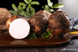 芋：一种有毒的“粮食”图片