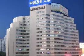 中国五矿集团领导班子成员2020年度工资单图片